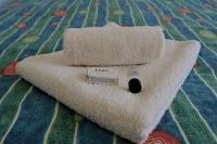 {$filename} The Woodland Hotel 1